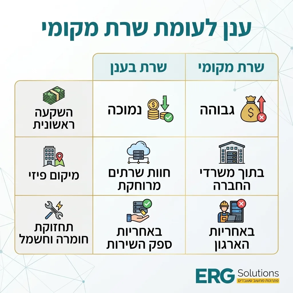 אינפוגרפיקה
