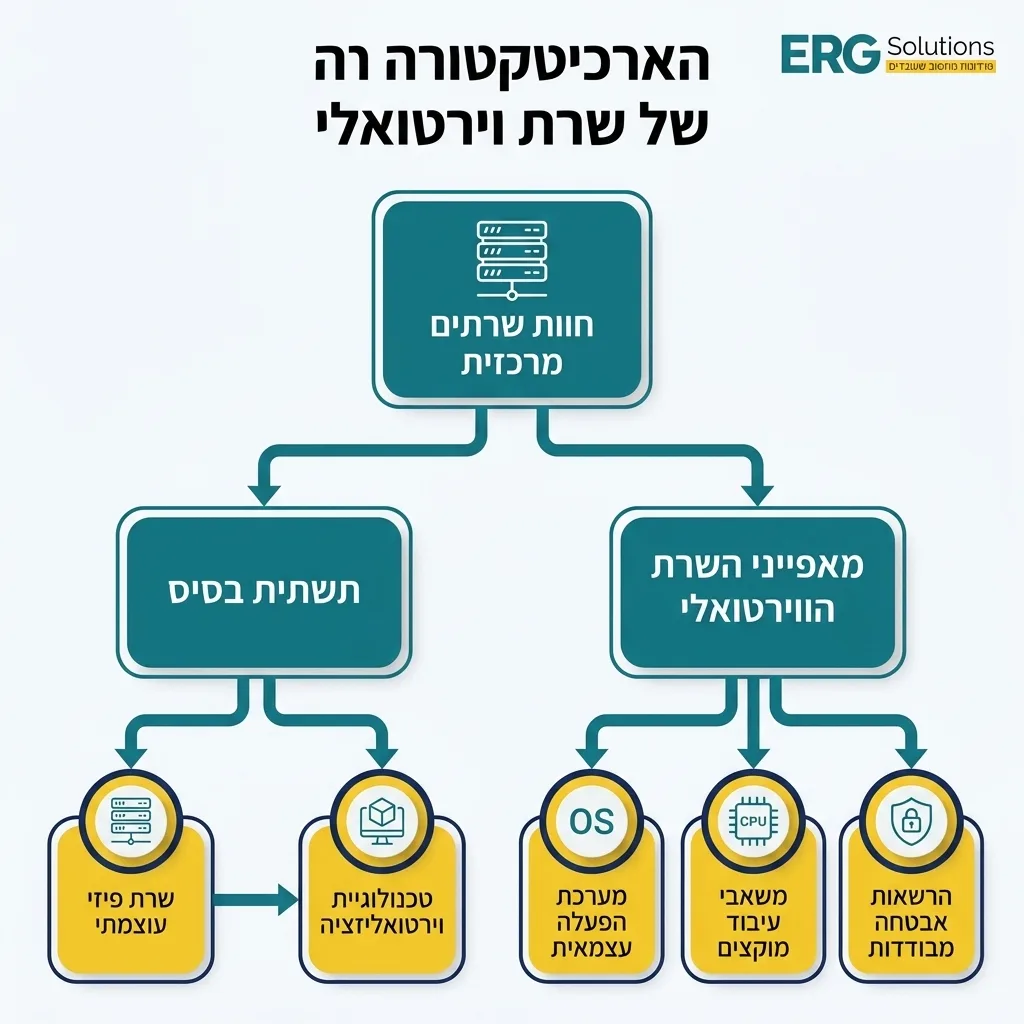 אינפוגרפיקה