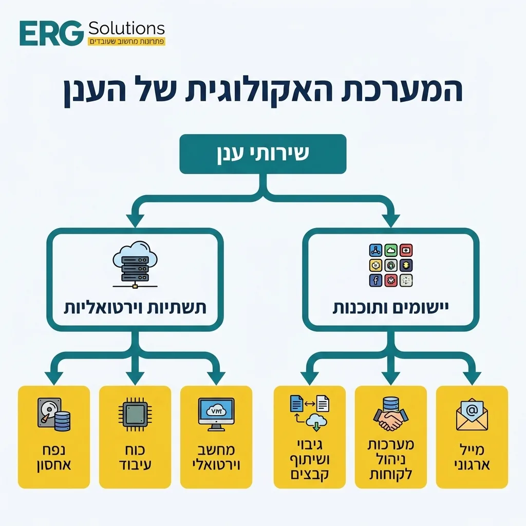אינפוגרפיקה