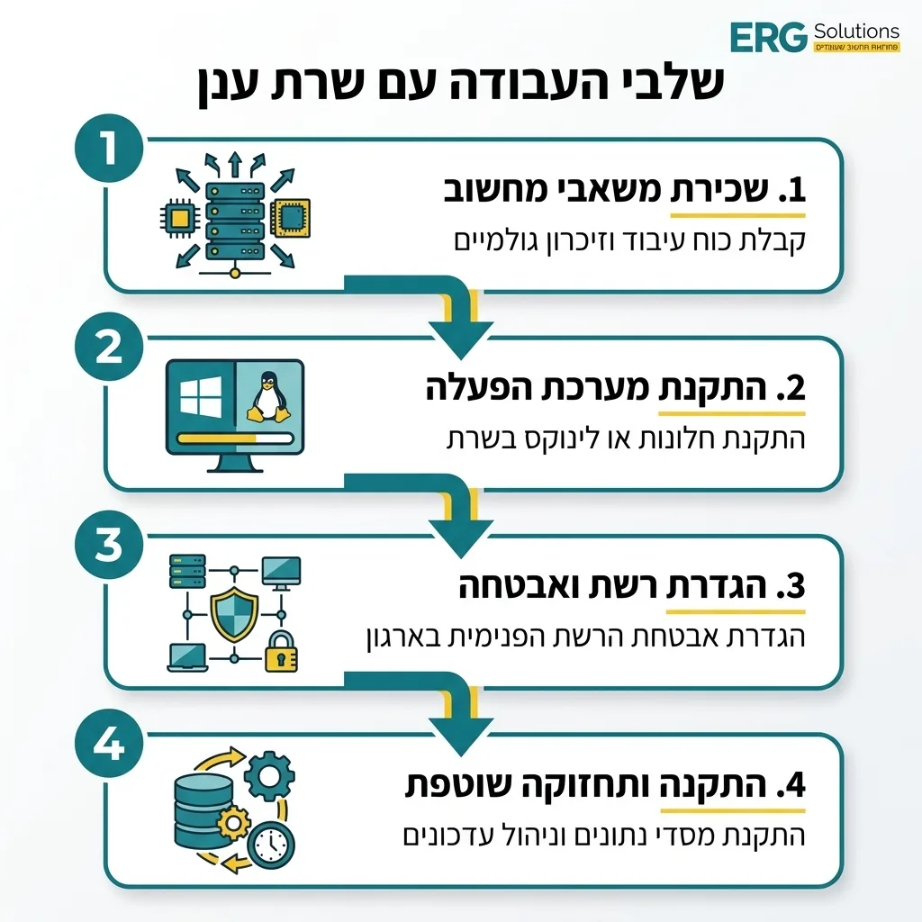 אינפוגרפיקה