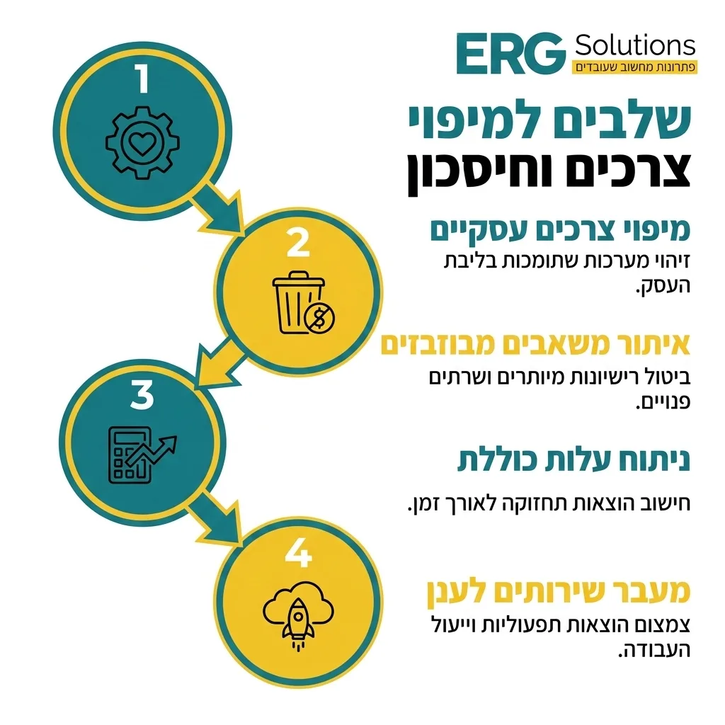 אינפוגרפיקה — שלבים למיפוי צרכים וחיסכון: מיפוי צרכים עסקיים, איתור משאבים מבוזבזים, ניתוח עלות כוללת, מעבר שירותים לענן