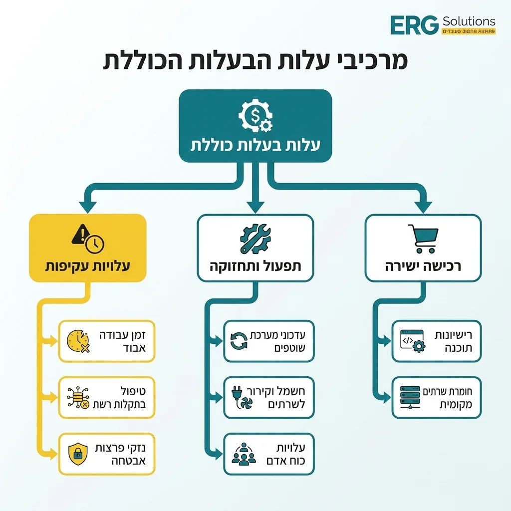 אינפוגרפיקה — מרכיבי עלות הבעלות הכוללת: עלות בעלות כוללת